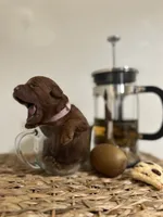 processed/50074229-be6c-4f5f-bd57-f37fd8bda7c4/facility/5c62d0a2-1f8d-4971-8cf3-9130e0aefbd8