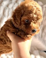 processed/50074229-be6c-4f5f-bd57-f37fd8bda7c4/facility/637db65f-35fe-43b0-8e52-db2b3dafbe00