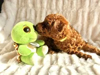 processed/50074229-be6c-4f5f-bd57-f37fd8bda7c4/facility/7afe0040-1b54-4590-8e65-780b2ff7eb81