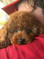 processed/50074229-be6c-4f5f-bd57-f37fd8bda7c4/facility/8834c1be-0b5a-4cc6-bf29-18231fd8c7ed