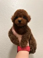 processed/50074229-be6c-4f5f-bd57-f37fd8bda7c4/facility/a2dff2a9-8dc9-4382-aa6d-9deb42f707e5