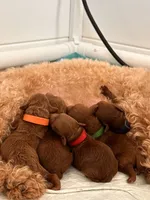 processed/50074229-be6c-4f5f-bd57-f37fd8bda7c4/facility/a4387a6c-aace-4f1d-bee0-e929165c4a5b