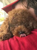 processed/50074229-be6c-4f5f-bd57-f37fd8bda7c4/facility/b21db245-fef2-434f-9137-96c036203a9b