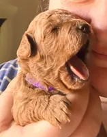 processed/50074229-be6c-4f5f-bd57-f37fd8bda7c4/facility/c6a2a54a-3383-434d-9b7a-652686870aaf