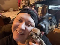 Tator , a female Miniature Dachshund for sale in Taunton, MA – Photo 5 of 5