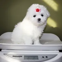 processed/50096995-c62e-4fe7-93c5-37519d947a4d/listing/1cba9c45-87c7-4d93-b1e6-ef995a8a5a5d/1d278120-5264-4ec8-99e9-5b279b74cb15