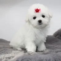 processed/50096995-c62e-4fe7-93c5-37519d947a4d/listing/1cba9c45-87c7-4d93-b1e6-ef995a8a5a5d/3d83dfa6-9ed0-4be9-8531-b6a332a0218c