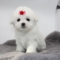 processed/50096995-c62e-4fe7-93c5-37519d947a4d/listing/1cba9c45-87c7-4d93-b1e6-ef995a8a5a5d/bb261675-ce74-4232-a813-e63a0079880a