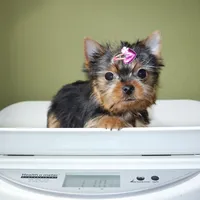 processed/50096995-c62e-4fe7-93c5-37519d947a4d/listing/244a7ee0-ea1b-4ba2-bf43-b82ae0b6fafe/c65bed32-05b6-4bf7-b481-ecf061a3fcd7