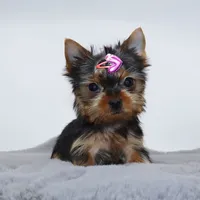 processed/50096995-c62e-4fe7-93c5-37519d947a4d/listing/244a7ee0-ea1b-4ba2-bf43-b82ae0b6fafe/cebb5c7d-b038-40df-aee2-282974e350e3