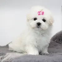 processed/50096995-c62e-4fe7-93c5-37519d947a4d/listing/2eac222f-83d8-4bdd-844f-a0a7325d7e14/16b5f2f5-f1a7-45b2-9086-6f8a4406bd72