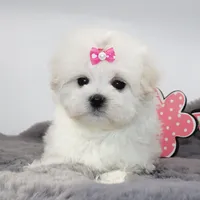 processed/50096995-c62e-4fe7-93c5-37519d947a4d/listing/2eac222f-83d8-4bdd-844f-a0a7325d7e14/24bcc112-f0fe-435a-82cb-a13a2e07ca16