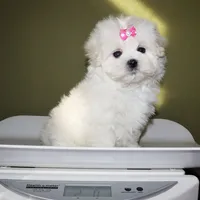 processed/50096995-c62e-4fe7-93c5-37519d947a4d/listing/2eac222f-83d8-4bdd-844f-a0a7325d7e14/6ef485c3-3f17-4df5-be8f-4d4a0ebe44d2