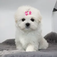 processed/50096995-c62e-4fe7-93c5-37519d947a4d/listing/2eac222f-83d8-4bdd-844f-a0a7325d7e14/fe4e3216-64cc-486b-b7e3-df95106f9f6f