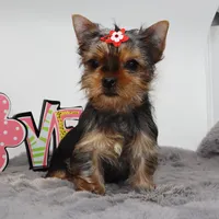 processed/50096995-c62e-4fe7-93c5-37519d947a4d/listing/3a27fe7d-6ca8-433e-9287-c6ed68ed35d3/3580cf32-eb2b-40e1-a2f6-690632b199d8