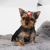 processed/50096995-c62e-4fe7-93c5-37519d947a4d/listing/3a27fe7d-6ca8-433e-9287-c6ed68ed35d3/54a2e5bc-eb85-4558-a071-52987aac7079