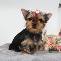 processed/50096995-c62e-4fe7-93c5-37519d947a4d/listing/3a27fe7d-6ca8-433e-9287-c6ed68ed35d3/93fab2da-d3d9-4f01-8111-5cc358a06b64