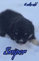 processed/500de65b-cbad-4d42-84f4-061595e83096/listing/1306fa9a-666b-40bc-b896-4f7972a2356a/b1ee60ff-c18b-4df5-bf11-2f3838cc0277