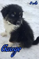 processed/500de65b-cbad-4d42-84f4-061595e83096/listing/3a92803c-3fa9-476a-b6de-f3f868165ea4/547a4bc1-44e4-40d1-8a05-2da175121028