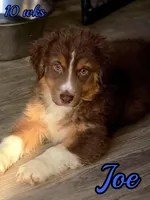 processed/500de65b-cbad-4d42-84f4-061595e83096/listing/3a92803c-3fa9-476a-b6de-f3f868165ea4/e2b4f813-b723-4249-b78b-73da15b4d37f