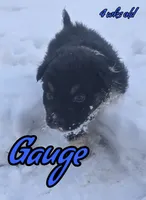 processed/500de65b-cbad-4d42-84f4-061595e83096/listing/3e6c3d51-9d45-498d-9869-278235325e62/0ff19884-fe0b-4dc8-b470-ee092c917b66