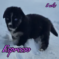 processed/500de65b-cbad-4d42-84f4-061595e83096/listing/406c6fc5-216d-4c65-8967-b048d41fec14/10a0017a-5bde-419c-a922-c175621fa512