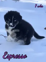 processed/500de65b-cbad-4d42-84f4-061595e83096/listing/406c6fc5-216d-4c65-8967-b048d41fec14/2a54f0fb-2acb-4e0d-be19-be23e13890c4