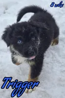 processed/500de65b-cbad-4d42-84f4-061595e83096/listing/406c6fc5-216d-4c65-8967-b048d41fec14/46821ac2-db40-447c-8e30-d1ce14593499