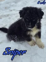 processed/500de65b-cbad-4d42-84f4-061595e83096/listing/406c6fc5-216d-4c65-8967-b048d41fec14/70d3d6de-1f6c-4873-b496-8c65d7025af7