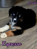 processed/500de65b-cbad-4d42-84f4-061595e83096/listing/406c6fc5-216d-4c65-8967-b048d41fec14/b4c3f6de-1606-498e-9cca-750b6194125e