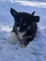 processed/500de65b-cbad-4d42-84f4-061595e83096/listing/406c6fc5-216d-4c65-8967-b048d41fec14/d0be08dd-6d81-4cf6-a291-f51f3acaa2d1