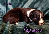 processed/500de65b-cbad-4d42-84f4-061595e83096/listing/406c6fc5-216d-4c65-8967-b048d41fec14/eb75e5b8-1a5c-4cdb-995f-07830d160dfe