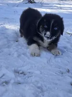 processed/500de65b-cbad-4d42-84f4-061595e83096/listing/406c6fc5-216d-4c65-8967-b048d41fec14/f8d790fd-4e94-4c8c-95d5-ec7ac95a58bd