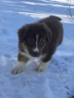 processed/500de65b-cbad-4d42-84f4-061595e83096/listing/7f7fdf88-73e6-458c-af42-6bea0000af02/26c5a4c6-06fa-4322-9b9d-15726c46b43c