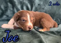 processed/500de65b-cbad-4d42-84f4-061595e83096/listing/7f7fdf88-73e6-458c-af42-6bea0000af02/42b560e6-2612-4d91-8396-f11e1902931d