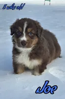 processed/500de65b-cbad-4d42-84f4-061595e83096/listing/7f7fdf88-73e6-458c-af42-6bea0000af02/92d41b0d-80b9-4a7b-a3a7-6835c9b278fe