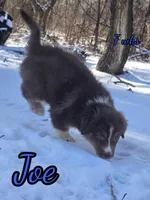 processed/500de65b-cbad-4d42-84f4-061595e83096/listing/7f7fdf88-73e6-458c-af42-6bea0000af02/ae50b621-841d-45bd-97c9-fa26c10beac5