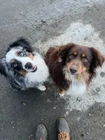 processed/5020a190-4624-4f67-9ce4-a81fdf2f0a15/facility/06aa7f22-7979-4ec0-9eeb-4f930d5c384f