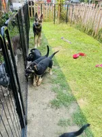 processed/5020a190-4624-4f67-9ce4-a81fdf2f0a15/facility/3b060e5a-713f-464e-bb06-c164fca81ab3