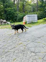 processed/5020a190-4624-4f67-9ce4-a81fdf2f0a15/facility/62872493-08d1-4dfd-ad4d-f2e303ca0b36