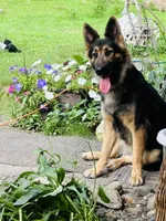 processed/5020a190-4624-4f67-9ce4-a81fdf2f0a15/facility/b932c735-cfd5-4bd2-bb20-5d0135687c02