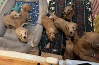 processed/50236c56-d841-4383-bddf-1122999e134b/facility/04963a55-3e00-49ac-b7ec-6803de51d5ed