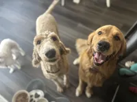 processed/50236c56-d841-4383-bddf-1122999e134b/facility/04d55334-bb76-4482-a627-2552951055bb