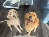 processed/50236c56-d841-4383-bddf-1122999e134b/facility/21b8e7e6-5e08-45ac-bbb3-00c7a9d7c349