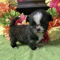 processed/5026290e-a9f9-493a-b7ef-8bd615b0796d/facility/02447578-7823-40d3-8c89-4a2a34a1d33d