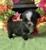 processed/5026290e-a9f9-493a-b7ef-8bd615b0796d/facility/02447578-7823-40d3-8c89-4a2a34a1d33d