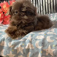 processed/5026290e-a9f9-493a-b7ef-8bd615b0796d/facility/12c188cd-0820-4252-bf4d-4ef673c38fac