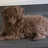 processed/5026290e-a9f9-493a-b7ef-8bd615b0796d/facility/24db4247-5eb4-4769-a54f-d7002e0da948