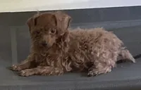 processed/5026290e-a9f9-493a-b7ef-8bd615b0796d/facility/24db4247-5eb4-4769-a54f-d7002e0da948