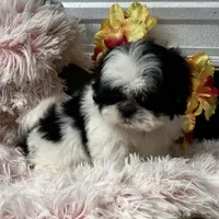 processed/5026290e-a9f9-493a-b7ef-8bd615b0796d/facility/2e0efaf0-fc40-4b46-848f-a950bc3aaf6b